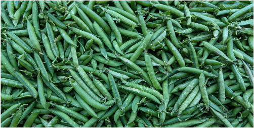 Equity as the Driver of Change: USDA Program Improvements