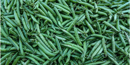 Equity as the Driver of Change: USDA Program Improvements